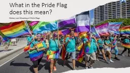 What in the Pride Flag does this mean?