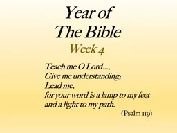 Year of  The Bible Week 4