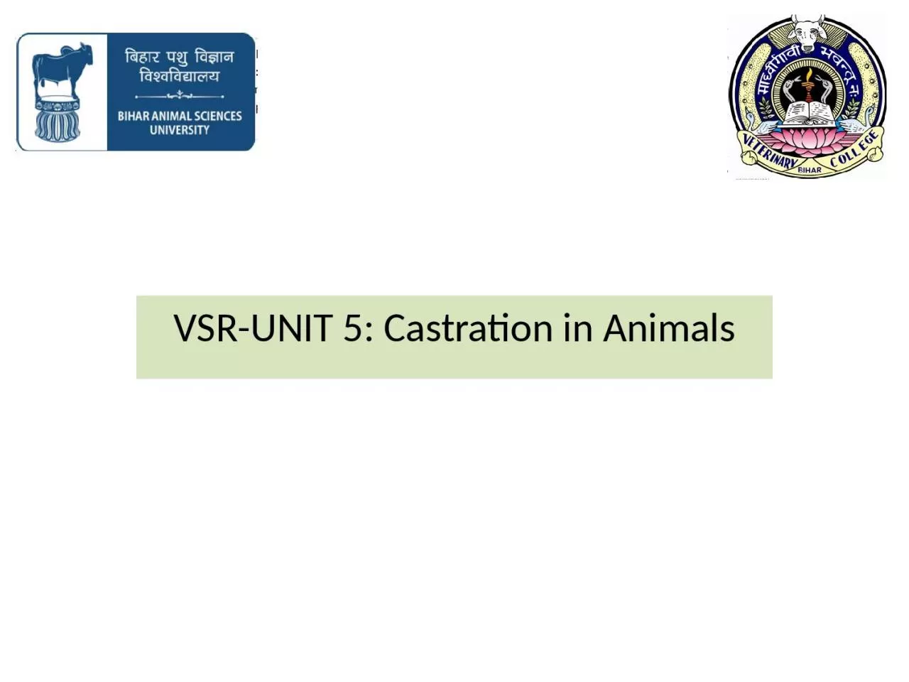 PPT-VSR-UNIT 5: Castration in Animals