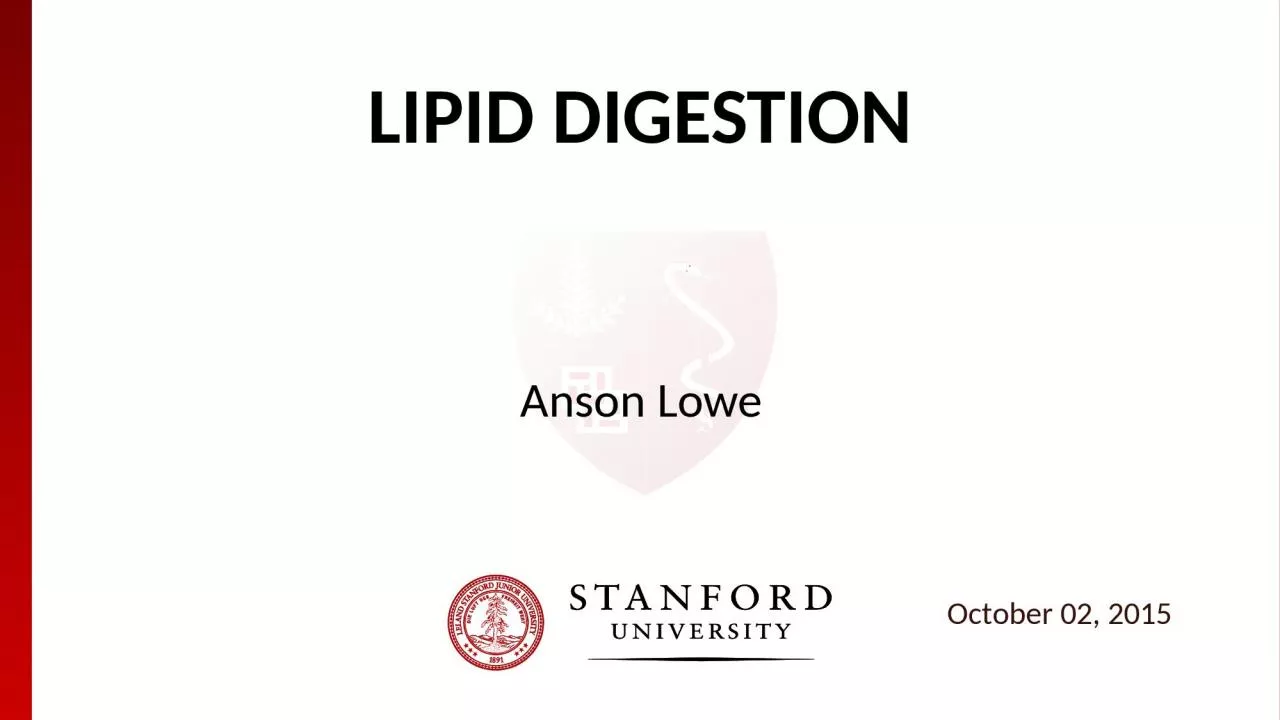 Lipid Digestion Anson Lowe