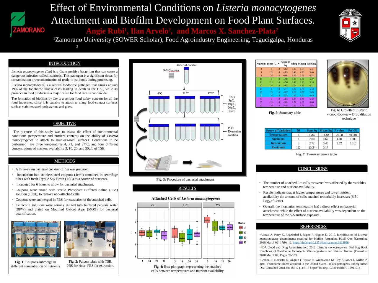 PPT-Effect of Environmental Conditions on