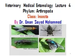 Veterinary Medical Entomology