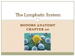 Honors Anatomy Chapter 20