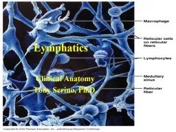 Lymphatics Clinical  Anatomy