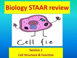 Biology STAAR review Session 1