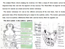 The crossed fibers (which crossing the midline) will form a mass of white matter called the trapez