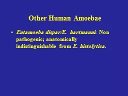Other Human Amoebae Entamoeba dispar/E. hartmanni