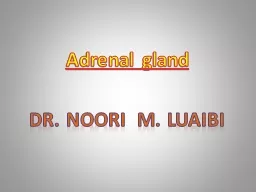 Adrenal  gland Dr.  Noori