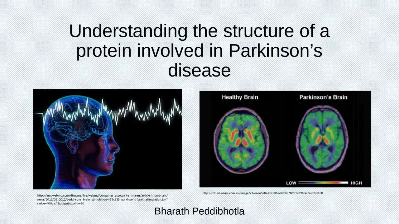 PPT-Understanding the structure of a protein involved in Parkinson’s disease