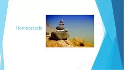 Homeostasis What is homeostasis?
