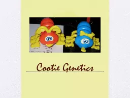Cootie Genetics http:// www.cbguidesblog.com