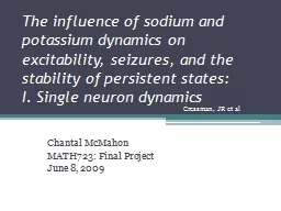 The influence of sodium and potassium dynamics on excitability, seizures, and the stability