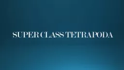 SUPER CLASS TETRAPODA