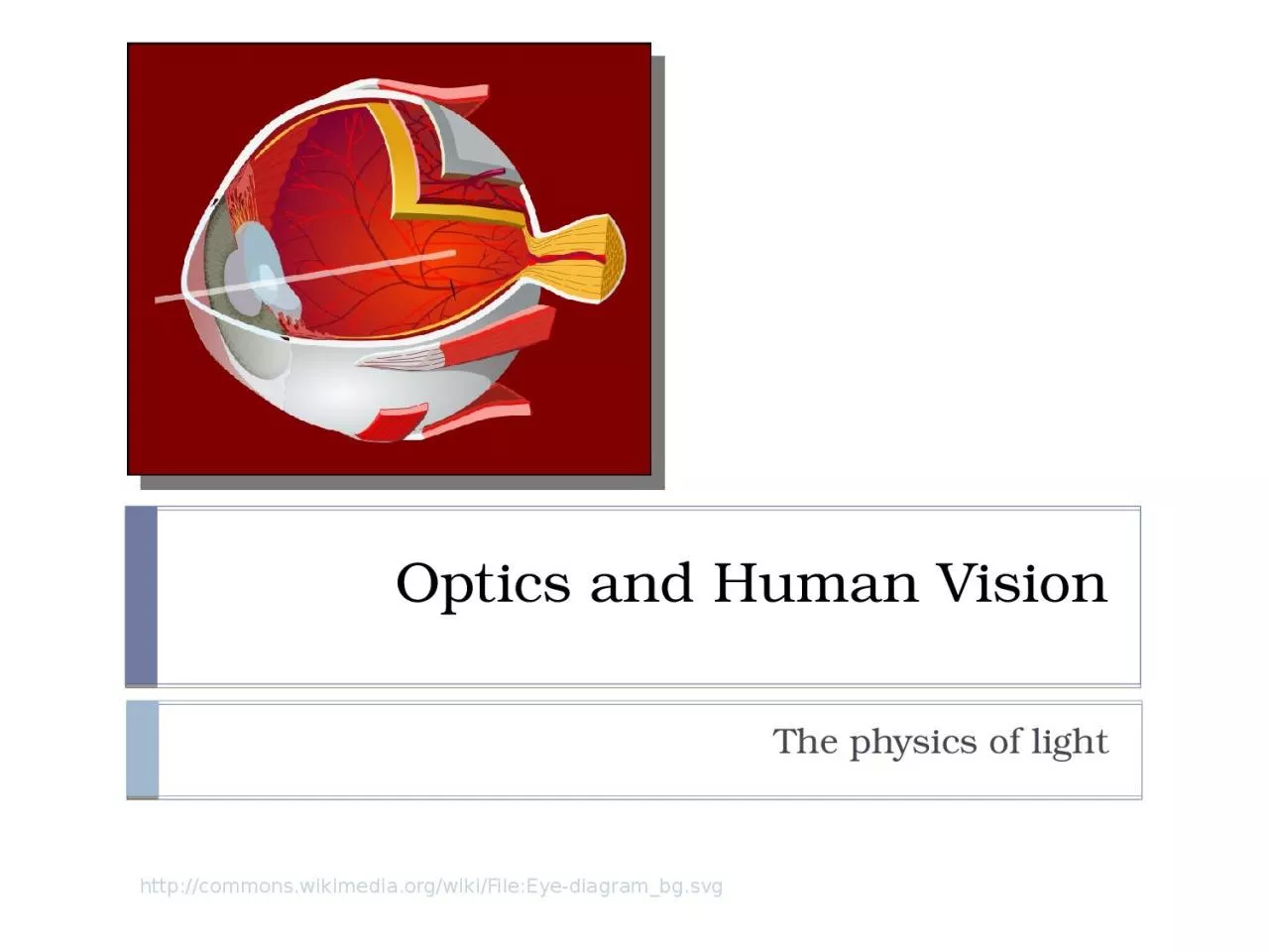 PPT-Optics and Human Vision The physics of light