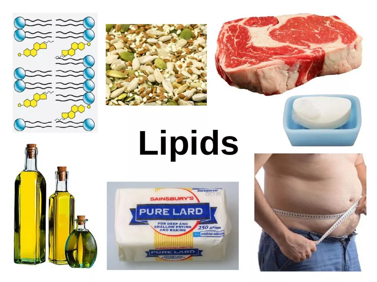 Lipids Lipids are hydrophobic or amphiphilic molecules with widely varying structures