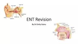 ENT Revision By Dr Emily Scanu