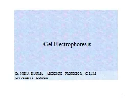Gel Electrophoresis Dr. NISHA SHARMA, ASSOCIATE PROFESSOR, C.S.J.M. UNIVERSITY, KANPUR