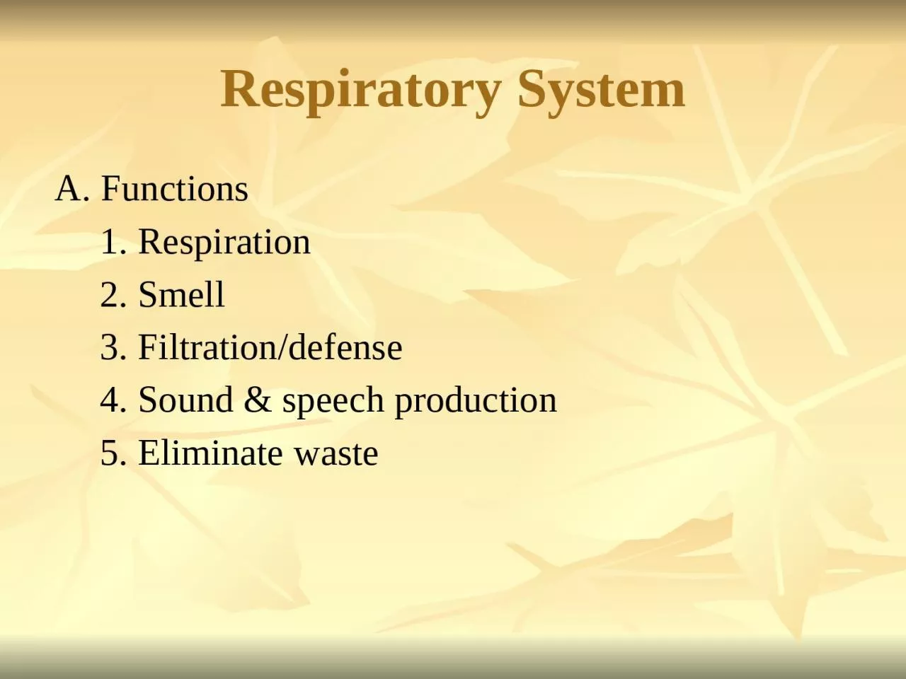 Respiratory System A. Functions