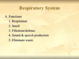 Respiratory System A. Functions