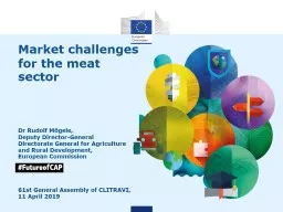 Market challenges for the meat sector