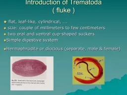 Introduction of Trematoda