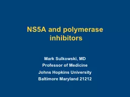 NS5A and polymerase inhibitors