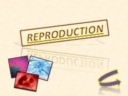 REPRODUCTION ASEXUAL REPRODUCTION