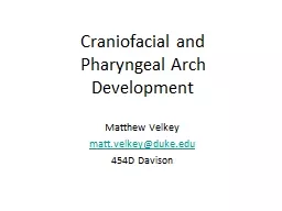 Craniofacial and Pharyngeal Arch Development