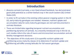 Introduction Brassica carinata