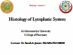 Histology of  Lymphatic