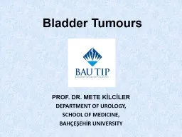 Bladder   Tumours PROF. DR. METE KİLCİLER