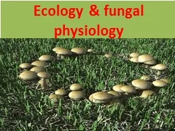 Ecology &  fungal physiology