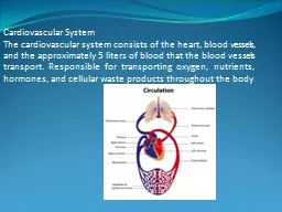 Cardiovascular System The cardiovascular system consists of the heart, blood vessels, and the appro