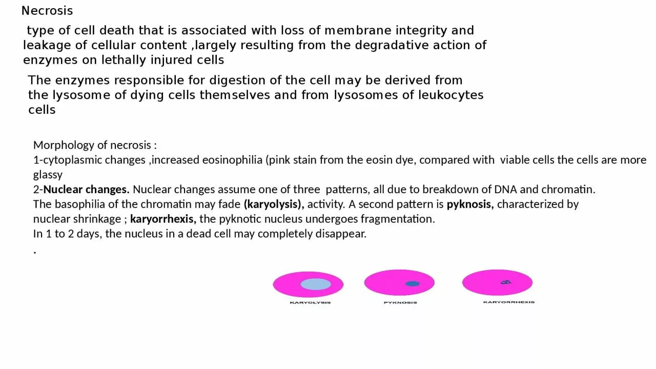 PPT-Necrosis type of cell death that is associated with loss