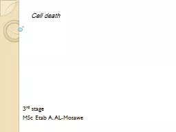 Cell death 3 rd  stage  MSc