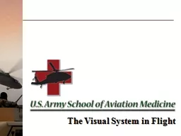 The Visual System in Flight