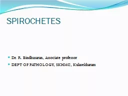 SPIROCHETES Dr. R.  Bindhusaran