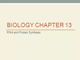 Biology Chapter 13	 RNA and Protein Synthesis