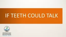 IF TEETH COULD TALK Incisors