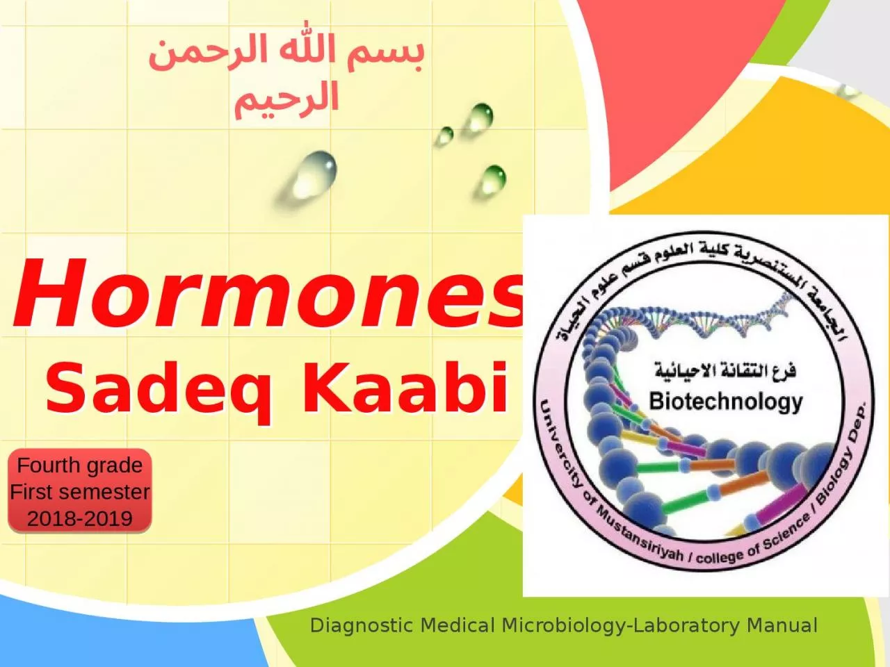 Hormones Sadeq   Kaabi Fourth grade