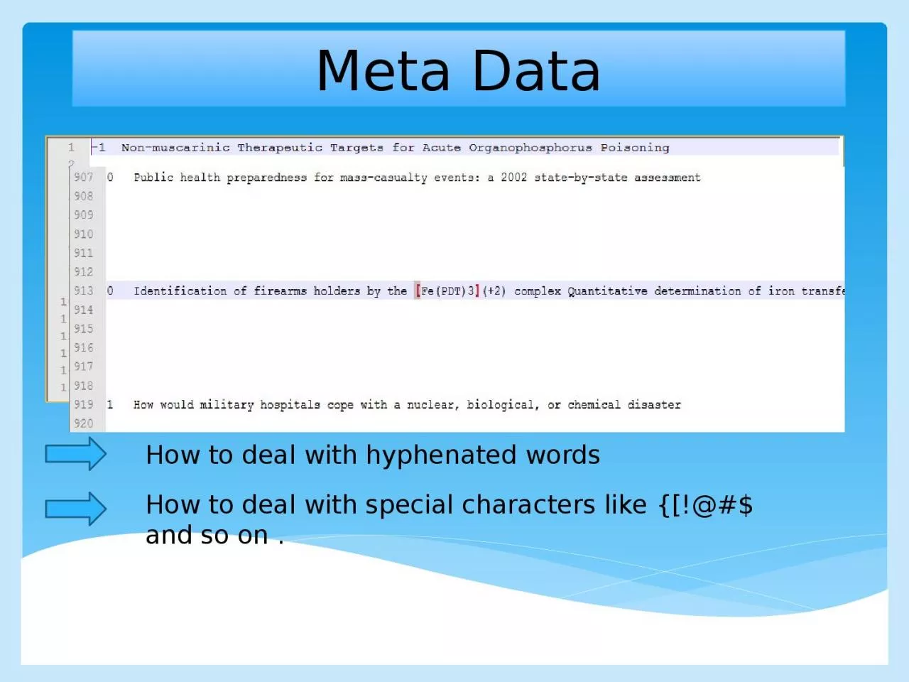 Meta Data How to deal with hyphenated words