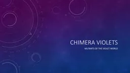 Chimera Violets Mutants of the