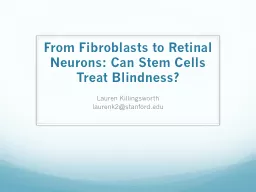 From Fibroblasts to Retinal Neurons: Can Stem Cells Treat Blindness?