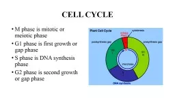 CELL CYCLE M phase is mitotic or meiotic phase