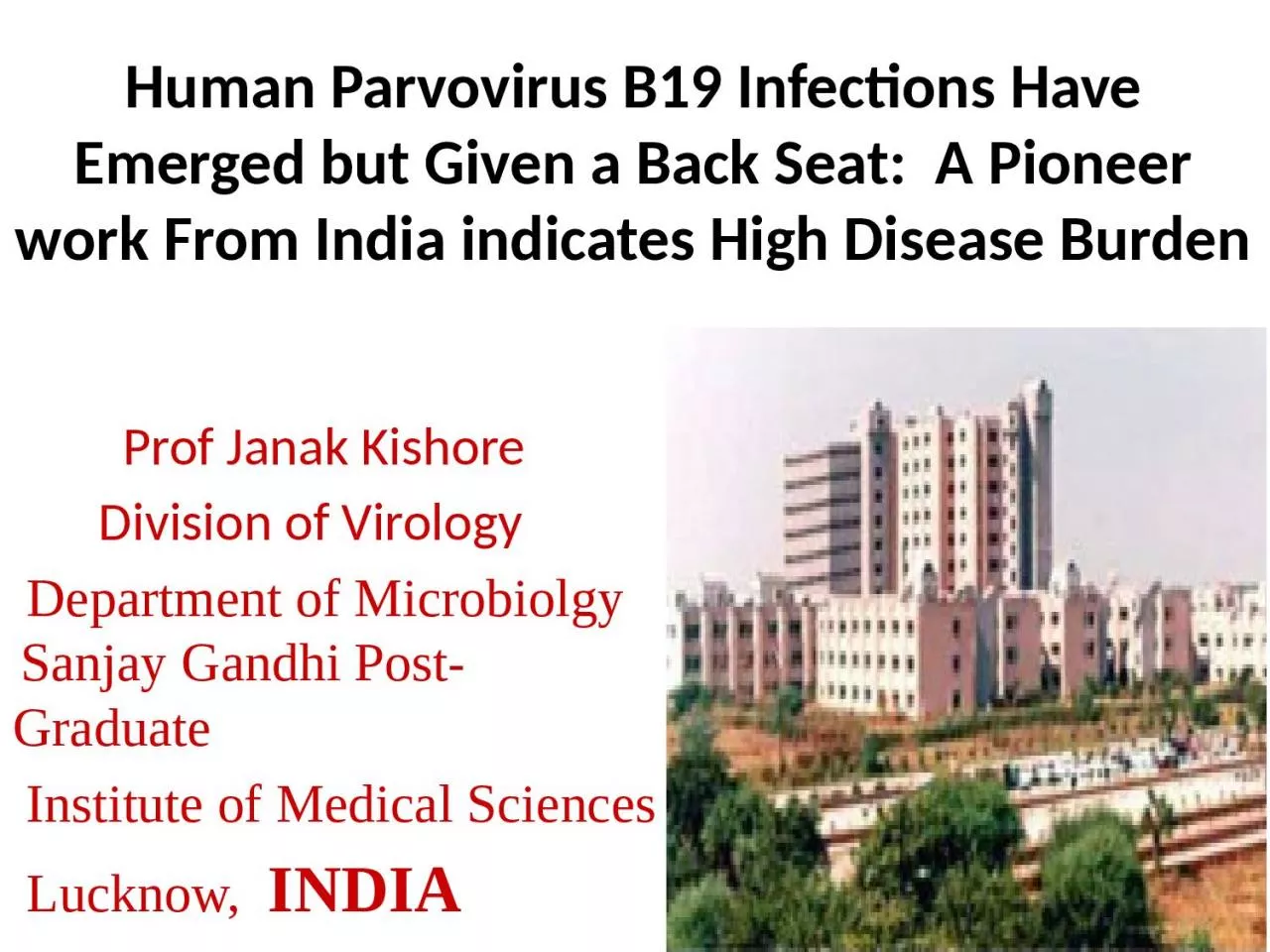 PPT-Human Parvovirus B19 Infections Have Emerged but Given a Back Seat: A Pioneer work From