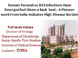 Human  Parvovirus B19 Infections Have Emerged but Given a Back Seat:  A Pioneer work From India ind