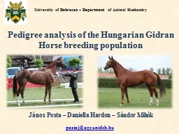 Pedigree analysis of the Hungarian