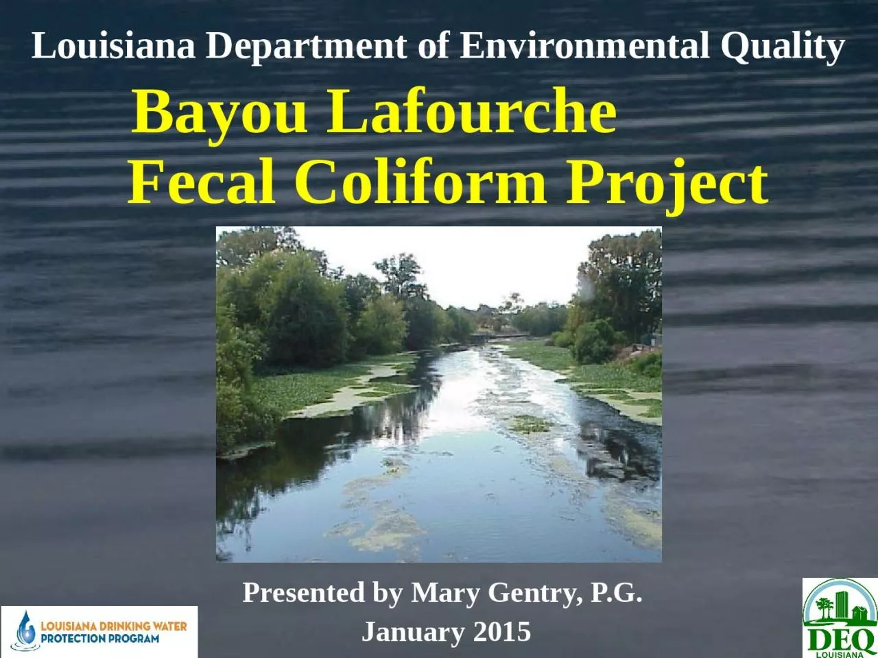 Bayou Lafourche        Fecal Coliform Project