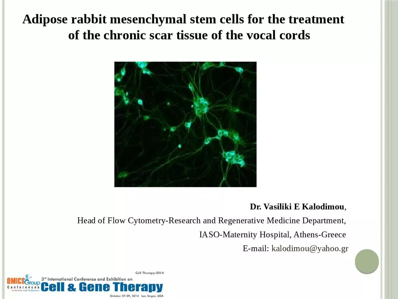Adipose rabbit mesenchymal stem cells for the treatment of the chronic scar tissue of