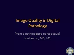 Image Quality in Digital Pathology